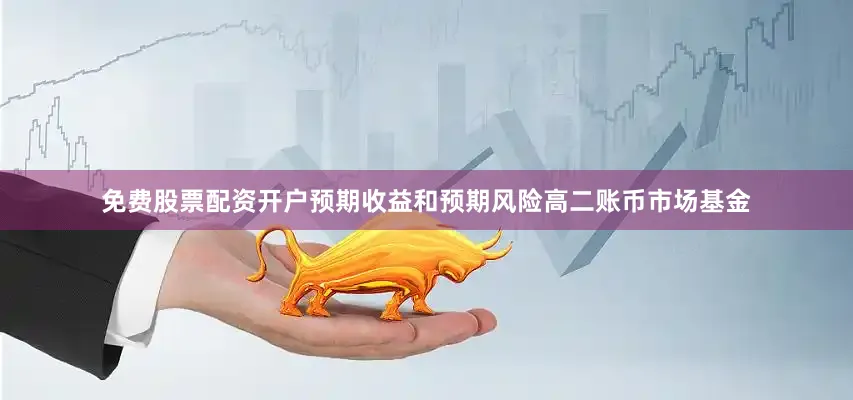 免费股票配资开户预期收益和预期风险高二账币市场基金