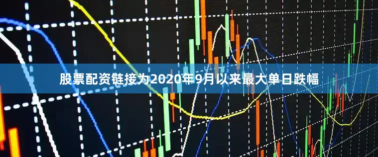 股票配资链接为2020年9月以来最大单日跌幅