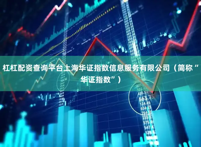 杠杠配资查询平台上海华证指数信息服务有限公司（简称“华证指数”）