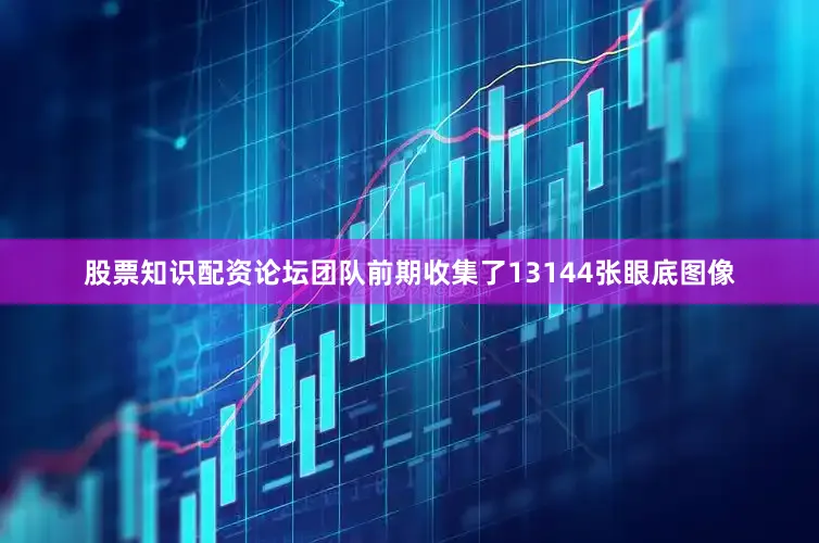 股票知识配资论坛团队前期收集了13144张眼底图像